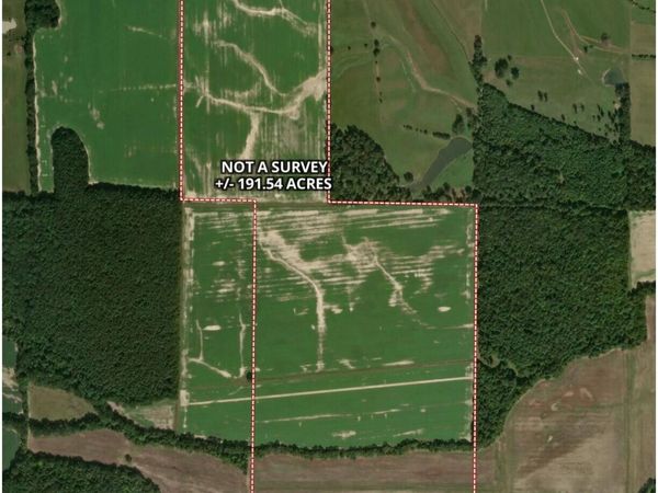 County Road 518, Rienzi, MS 38865