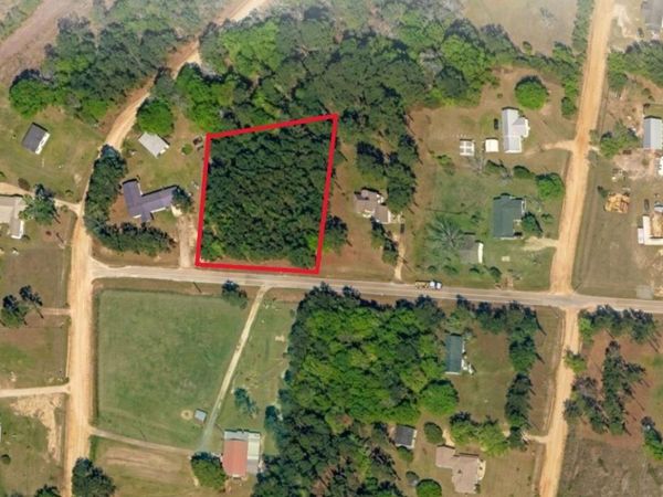 0 Mimosa Drive, Norman Park, GA 31771