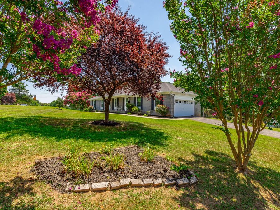 Property Image 52