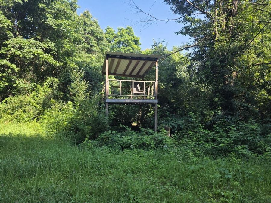 Property Image 52
