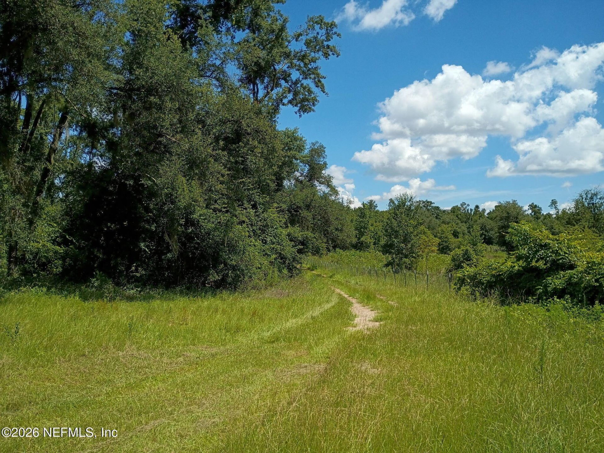 146 Jeep Drive, Wellborn, FL 32094 Photo