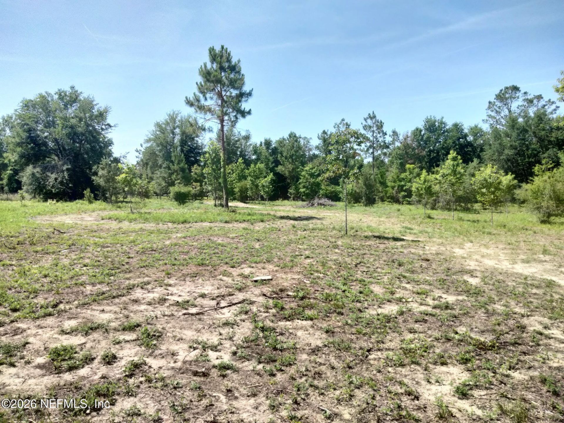 146 Jeep Drive, Wellborn, FL 32094 Photo