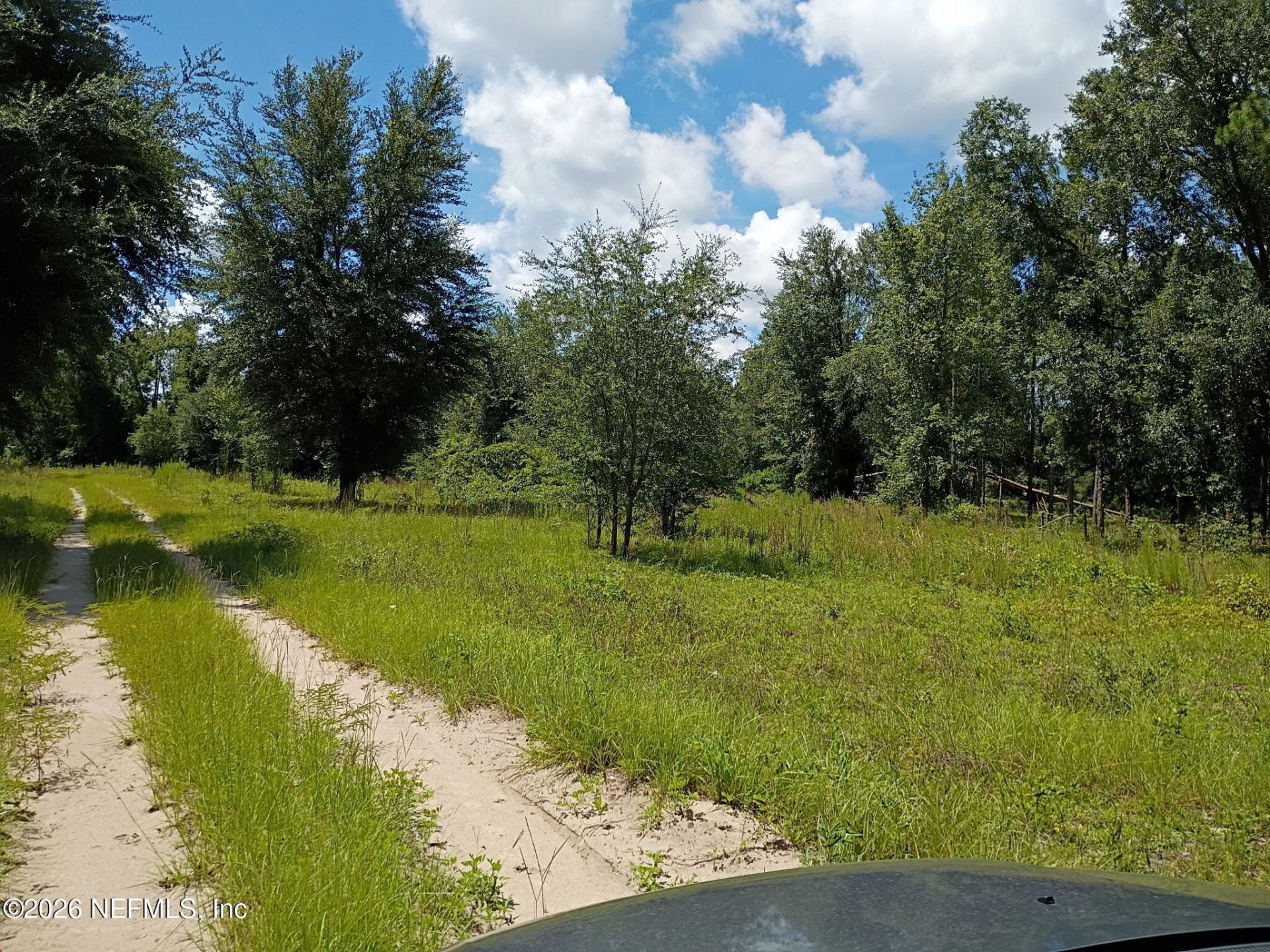 146 Jeep Drive, Wellborn, FL 32094 Photo