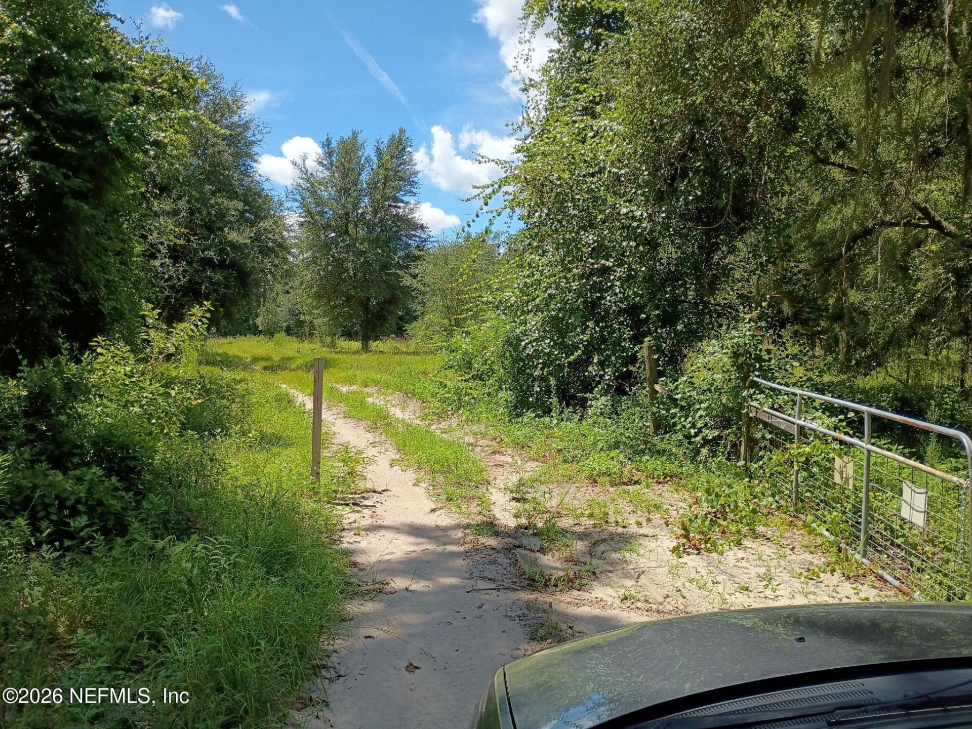 146 Jeep Drive, Wellborn, FL 32094 Photo