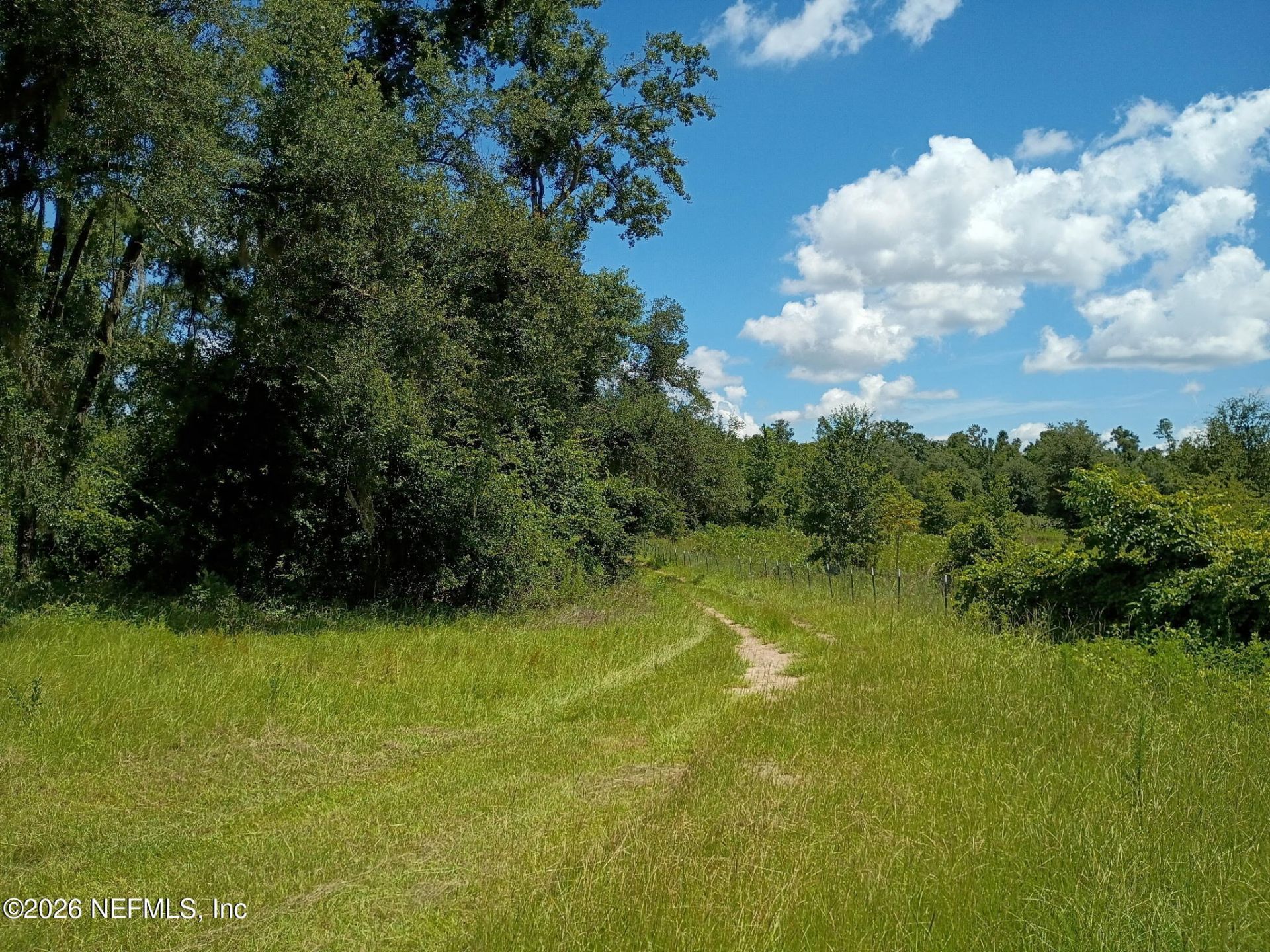146 Jeep Drive, Wellborn, FL 32094 Photo