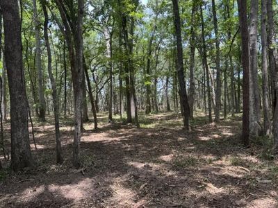 00 Beagle Club Road, Meggett, SC 29449