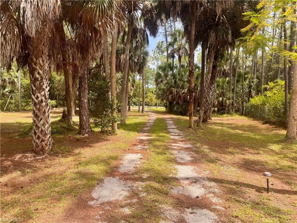 4392 11th Ave Sw, Naples, FL 34116 Photo