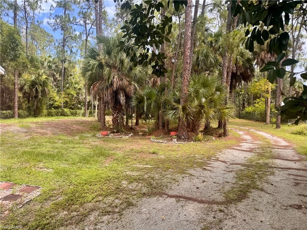 4392 11th Ave Sw, Naples, FL 34116 Photo