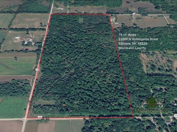11000 N Vickeryville Road, Edmore, MI 48829
