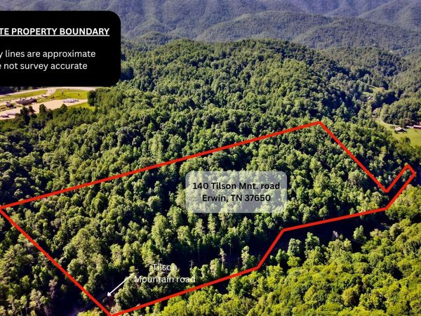 140 Tilson Mountain Road, Erwin, TN 37650