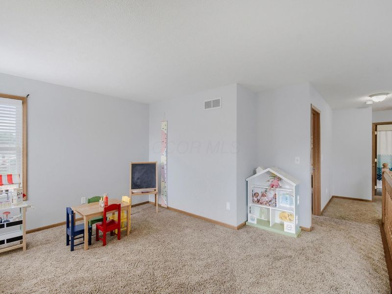 250 Hayfield Drive, Delaware, OH 43015 Photo 15
