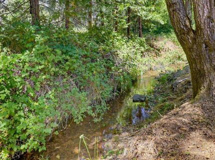 1325 Boole Rd, Applegate, CA 95703 Photo