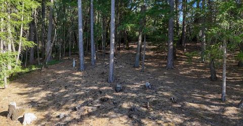 1325 Boole Rd, Applegate, CA 95703 Photo