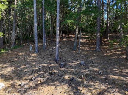 1325 Boole Rd, Applegate, CA 95703 Photo