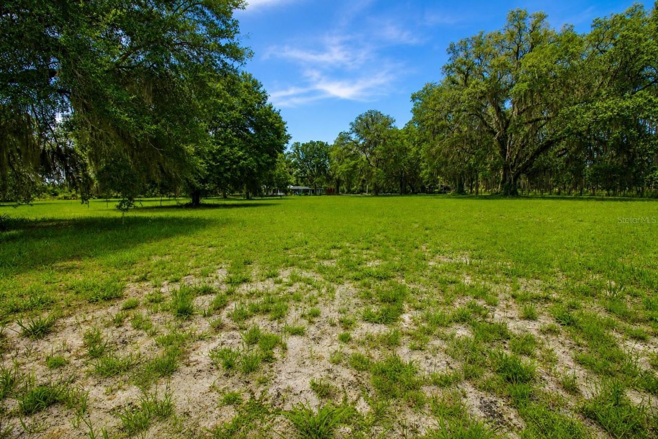 128 NE 326th Avenue, Cross City, FL 32628 Photo