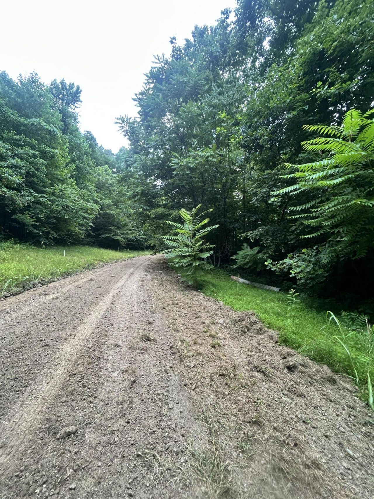 Tract 68-70 Cd Dogwood Drive, Whitley City, KY 42653 Main Photo