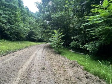 Tract 68-70 CD Dogwood Drive, Whitley City, KY 42653