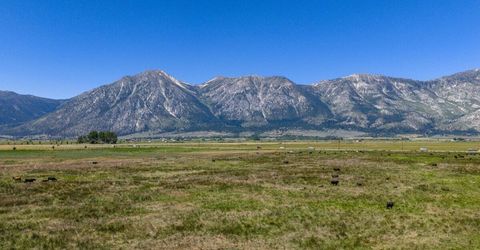 1195 Nevada 88, Gardnerville, NV 89460 Photo