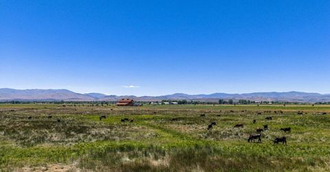 1195 Nevada 88, Gardnerville, NV 89460 Photo