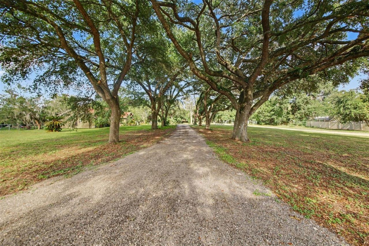 10073 Lake Meadow Road, Apopka, FL 32703 Photo