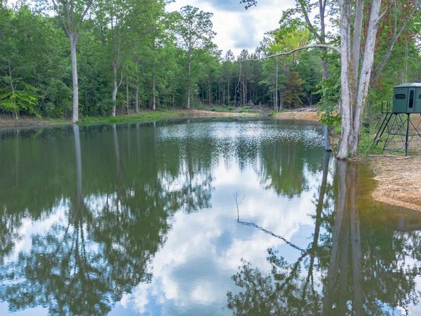 0 Vinyard Lot 1, 2, 4, 5, 6, Fruithurst, AL 36262