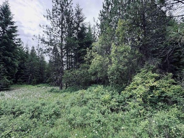58 Bugling Elk Lane, Weippe, ID 83553