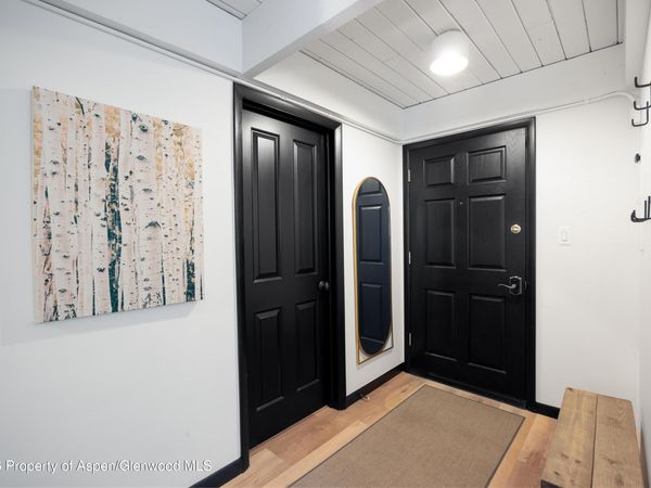 901 E Hyman Avenue, Unit 4, Aspen, CO 81611
