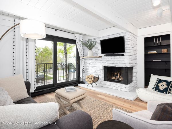 901 E Hyman Avenue, Unit 4, Aspen, CO 81611