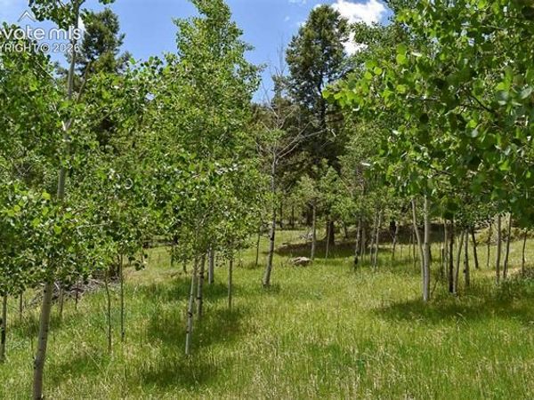 281 Deer Lane, Guffey, CO 80820