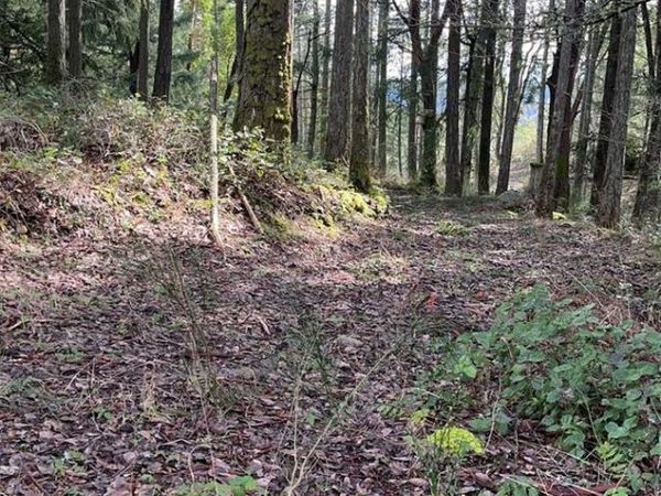Lot A Ebadora Lane , Malahat, BC V0R 2L0
