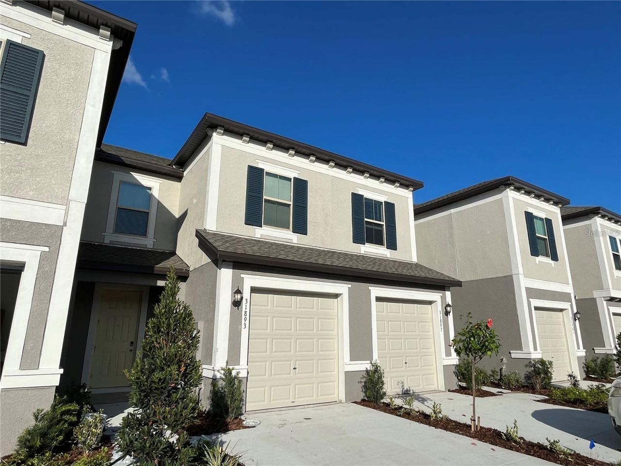 31893 Blue Passing Loop, Wesley Chapel, FL 33545 Main Photo