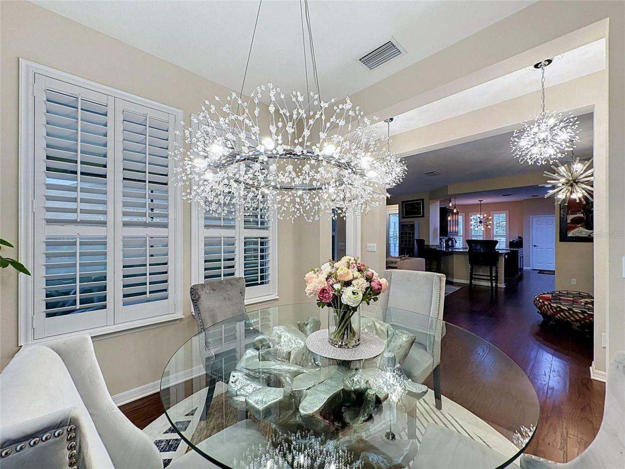 255 Silver Maple Road, Groveland, FL 34736 Photo