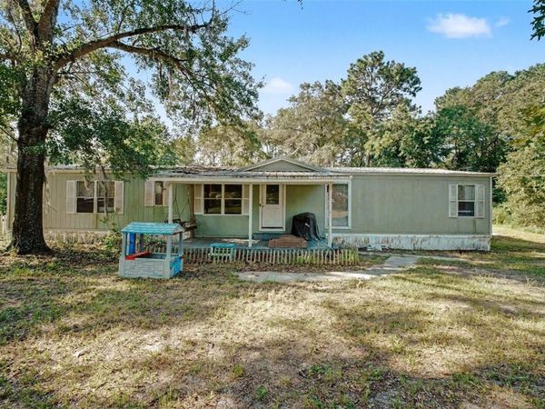 173 PLANKTON AVENUE, MIDDLEBURG, FL 32068