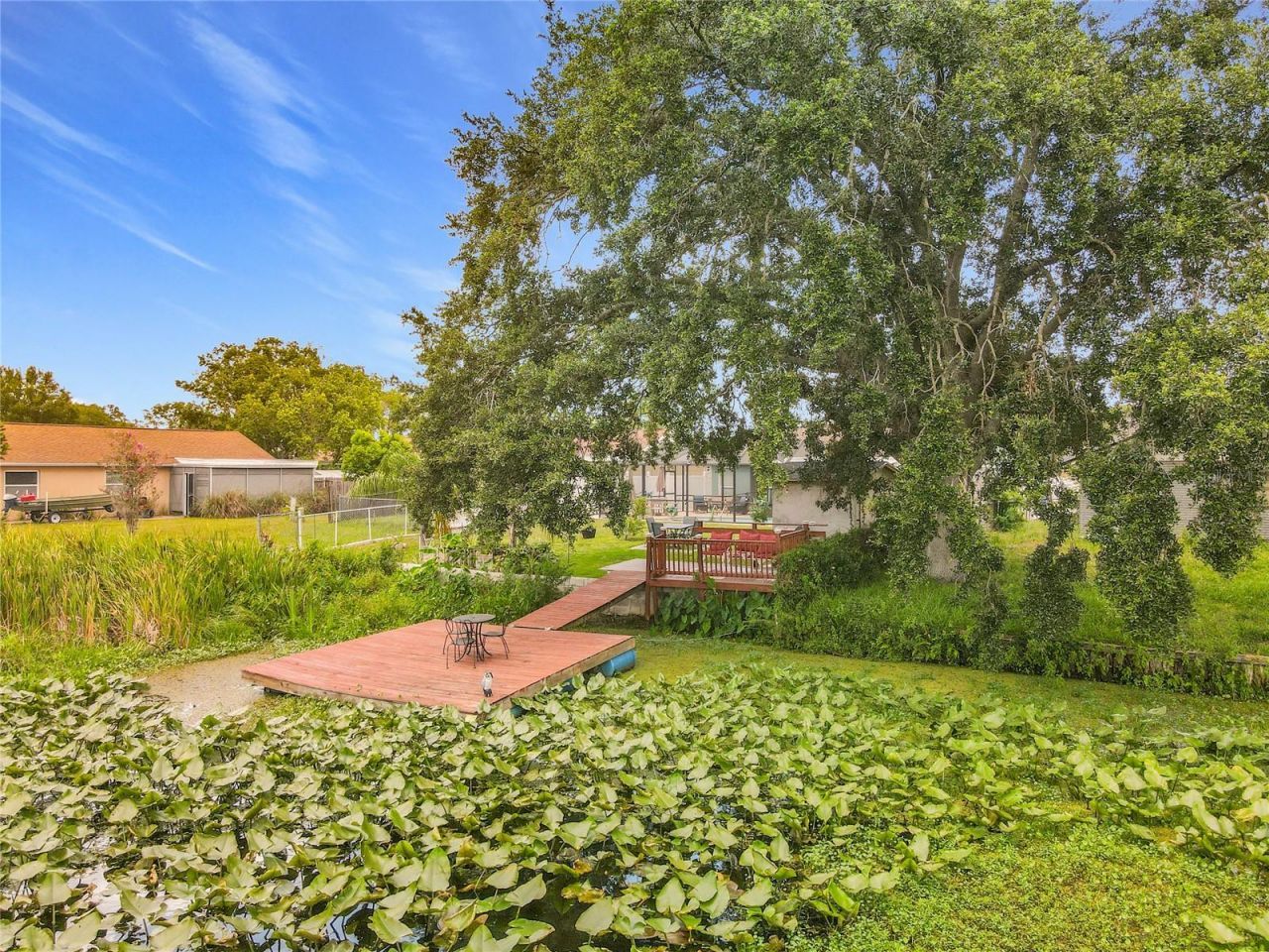 3229 Covina Street , New Port Richey, FL 34655 Photo