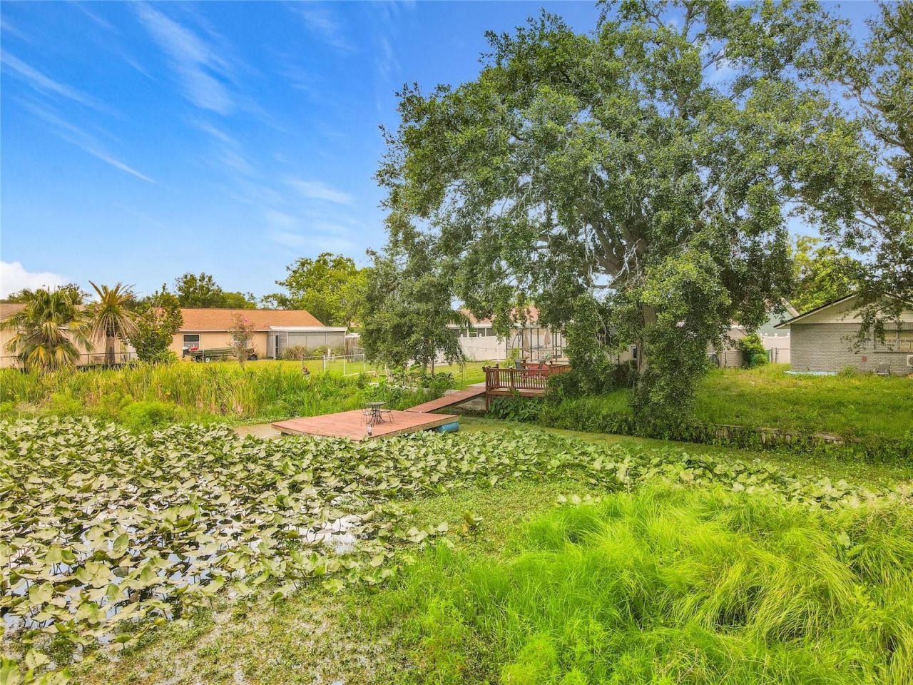 3229 Covina Street , New Port Richey, FL 34655 Photo