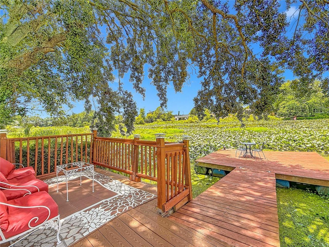 3229 Covina Street , New Port Richey, FL 34655 Photo