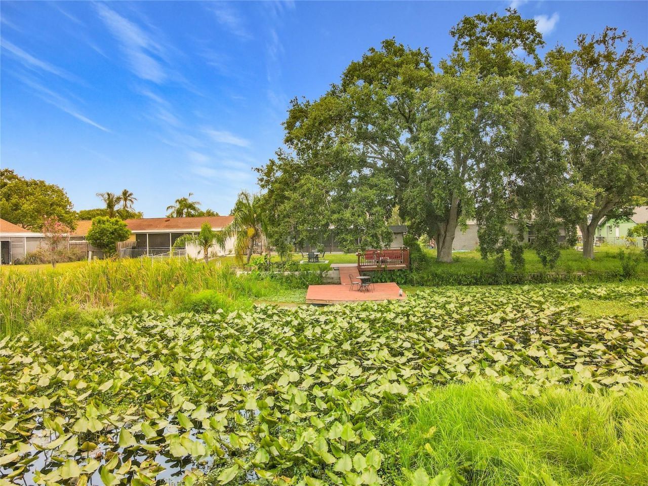 3229 Covina Street , New Port Richey, FL 34655 Photo