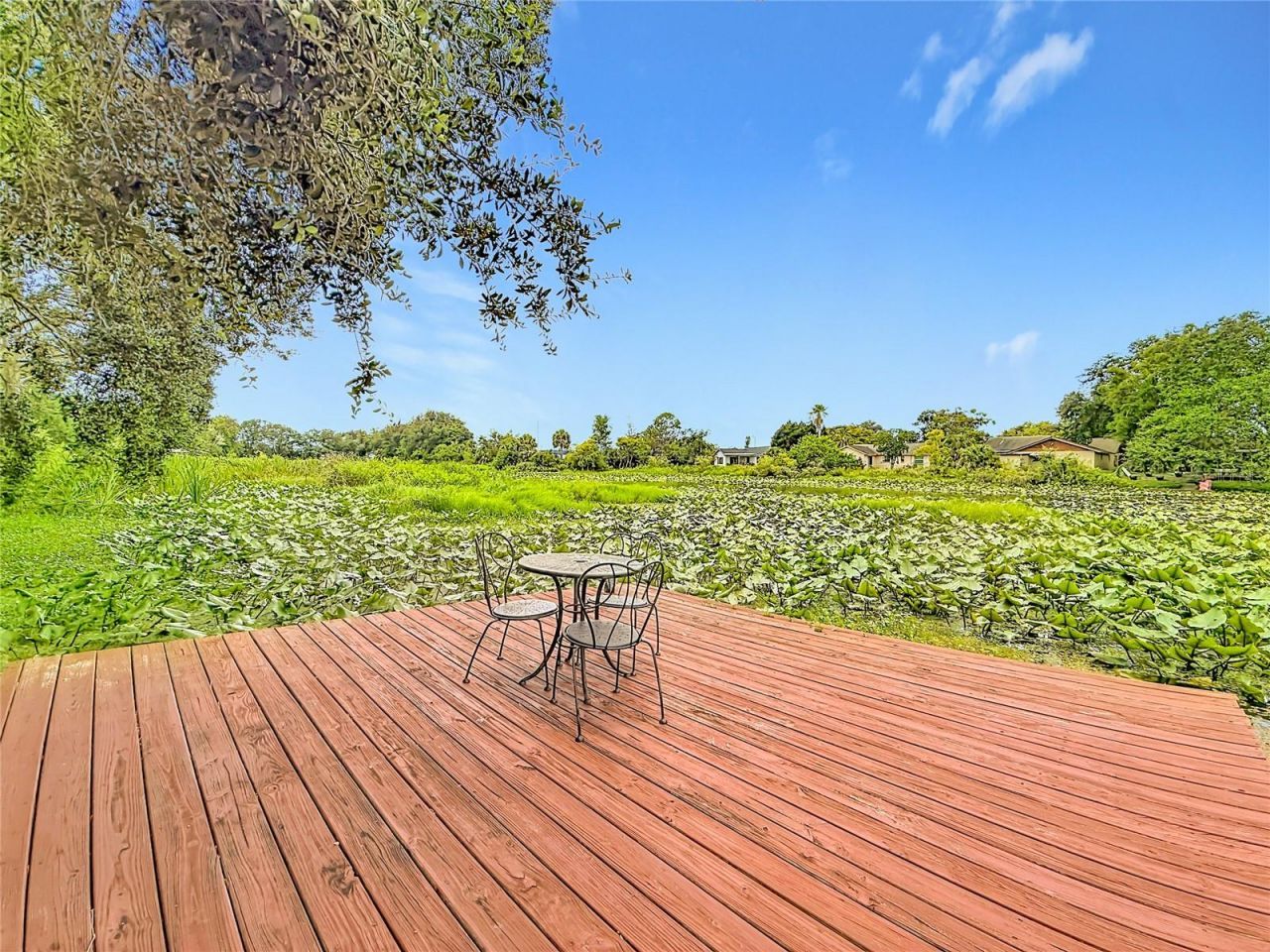 3229 Covina Street , New Port Richey, FL 34655 Photo