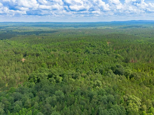 0 Vineyard Lot 3, Fruithurst, AL 36262