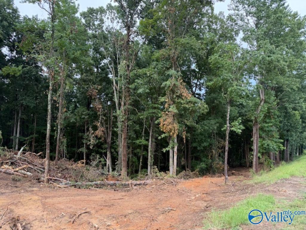 2756 Wilhite Road, Falkville, AL 35622 Main Photo