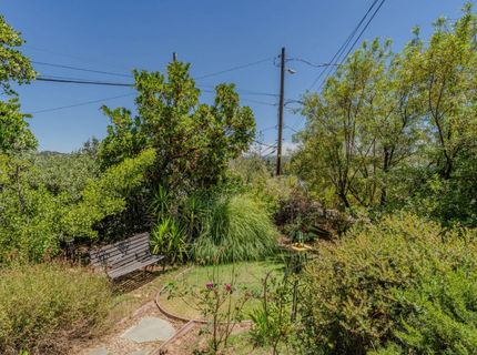 419 Rex Ave, Jackson, CA 95642 Photo