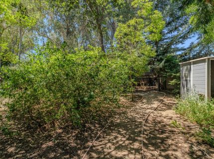 419 Rex Ave, Jackson, CA 95642 Photo