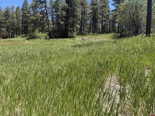 473 Alpine Forest Drive, Bayfield, CO 81122