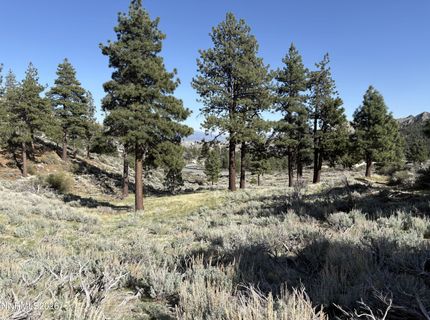 5000 W Hwy 50, Carson City, NV 89705 Photo