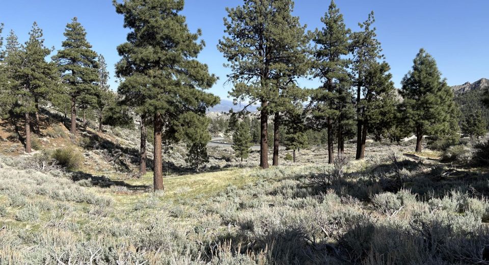 5000 W Hwy 50, Carson City, NV 89705 Photo