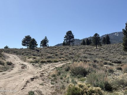 5000 W Hwy 50, Carson City, NV 89705 Photo