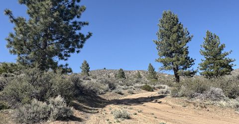 5000 W Hwy 50, Carson City, NV 89705 Photo