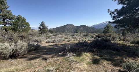 5000 W Hwy 50, Carson City, NV 89705 Photo