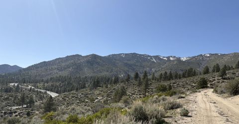 5000 W Hwy 50, Carson City, NV 89705 Photo
