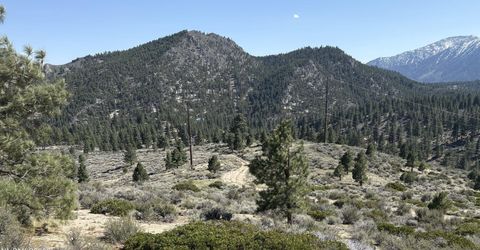 5000 W Hwy 50, Carson City, NV 89705 Photo